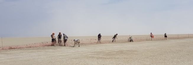 Démontage de la clôture et chargement des grillages dans les camions. Photos : F. Muguet, 2017.