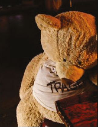 « Exit Strategy Bear », disposé au Saloon à Gerlach.